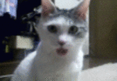 Reaction Faces