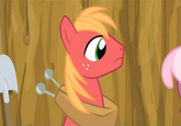 Big Macintosh