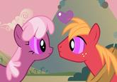 Big Macintosh
