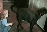 WTF Is This Shit!?