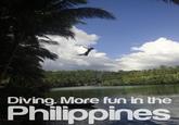 It's More Fun in the Philippines