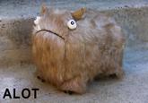 The Alot