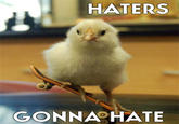 Haters Gonna Hate