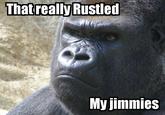 That Really Rustled My Jimmies