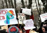 Protect IP Act / Stop Online Piracy Act