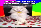 Shitstorm