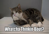 Whatcha Thinkin Bout?