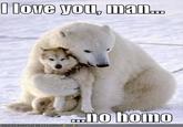 No Homo