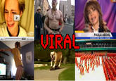 Viral Videos