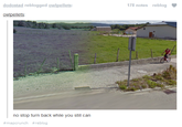 MapCrunch