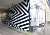 Street Art