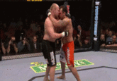 Mixed Martial Arts