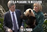 Cute Animals