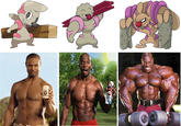 Celebrity Pokemon Evolutions