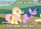 Pony Reactions