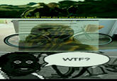YTMND