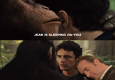 Jean Dujardin Sleeping
