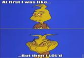 At First I Was Like...