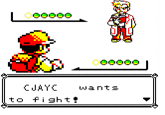 Fake Pokémon Battles