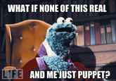 The Most Interesting Monster in the World
