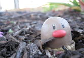 Diglett Underground
