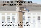 Antoine Dodson / Bed Intruder