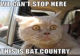 We Can't Stop Here, This is Bat Country