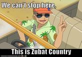 We Can't Stop Here, This is Bat Country