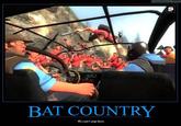 We Can't Stop Here, This is Bat Country