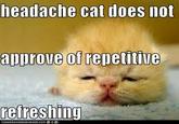 Headache Puppy