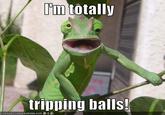 Tripping Balls