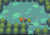 Pokemon