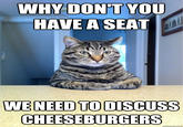 Chris Hansen Cat