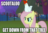 My Little Pony: Friendship is Magic