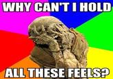 Feels