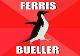 Socially Awesome Penguin