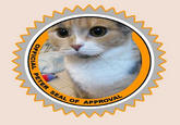 Peter the Cat (The King of /b/)