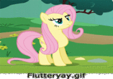 Filename Extensions
