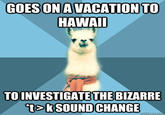 Linguist Llama