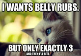 First World Problems Cat