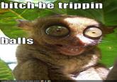 Tripping Balls