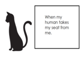 First World Problems Cat