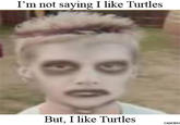 I Like Turtles