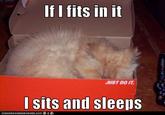 If It Fits I Sits