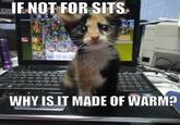 If It Fits I Sits