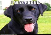 THEN WHO WAS PHONE?