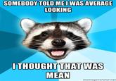 Lame Pun Coon