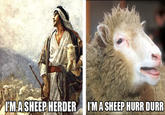Name Puns