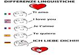 Differenze Linguistiche