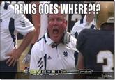 Penis Goes Where/Cock goes where